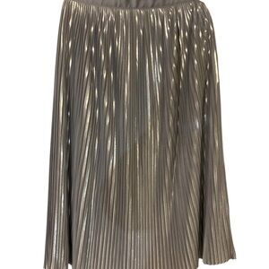 Banana Republic Silver Pleated A-Line Skirt